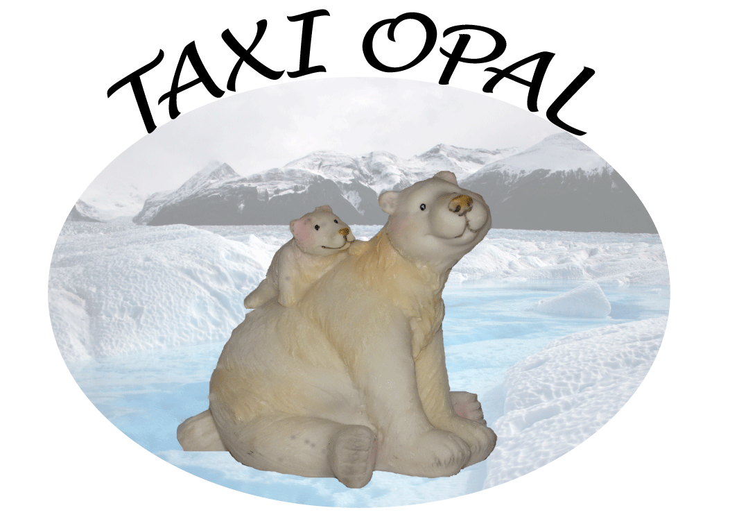 Taxi Opal_schnell, sicher und komfortabel an Ihr Ziel